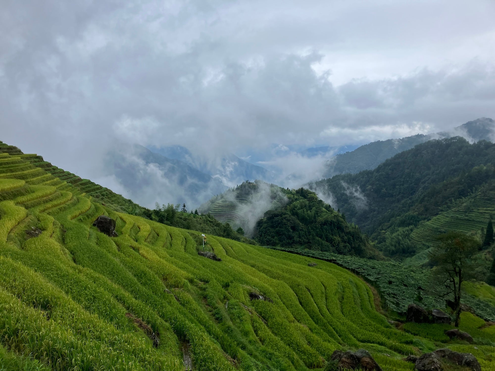 Easyfastshop product image