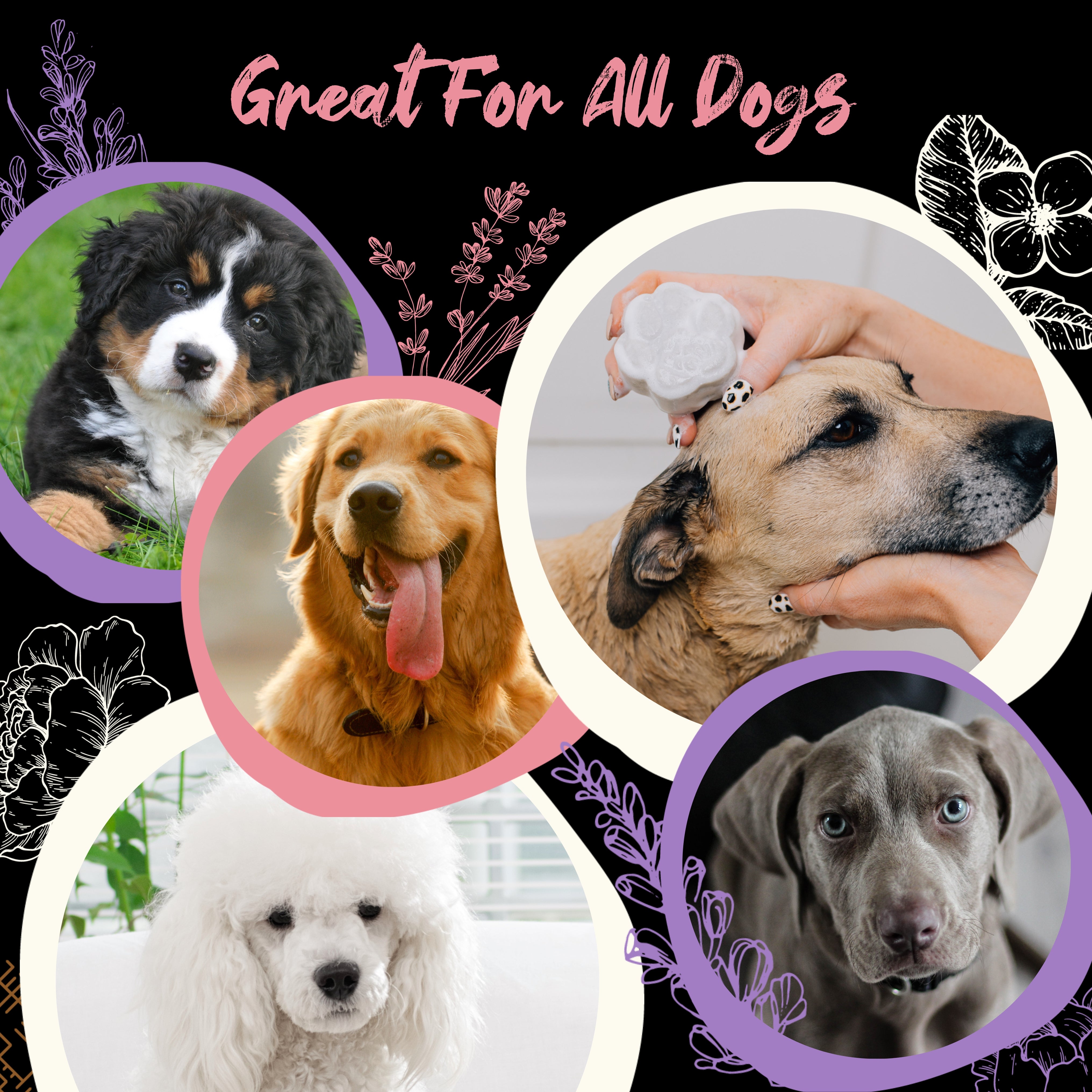 Pet Shampoo Bar | Cherry Blossom™