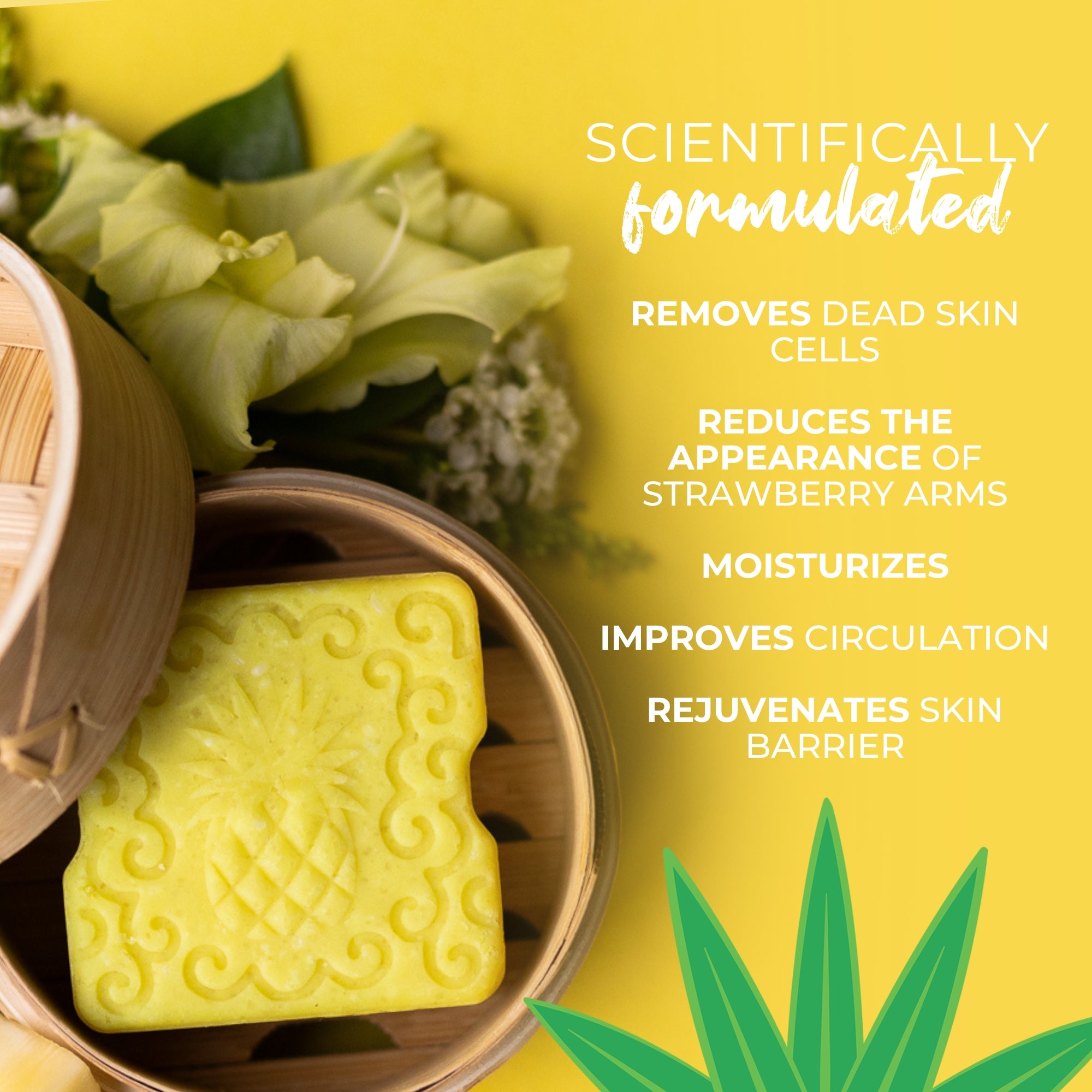 Sugar Scrub Bar | Pineapple