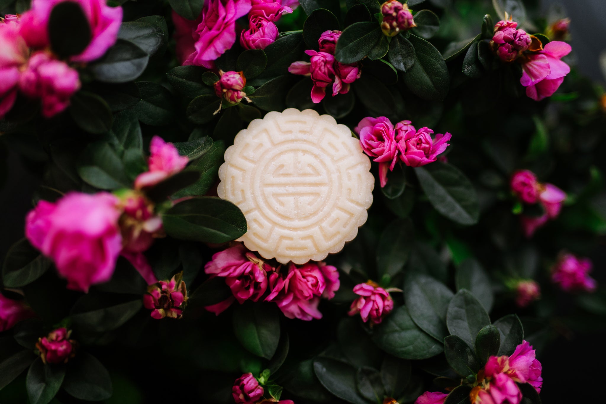 Easyfastshop product image