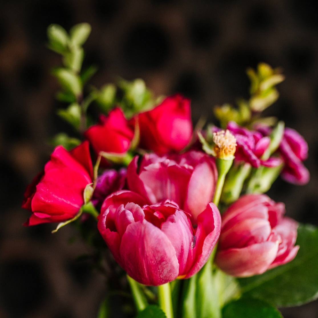 Easyfastshop product image