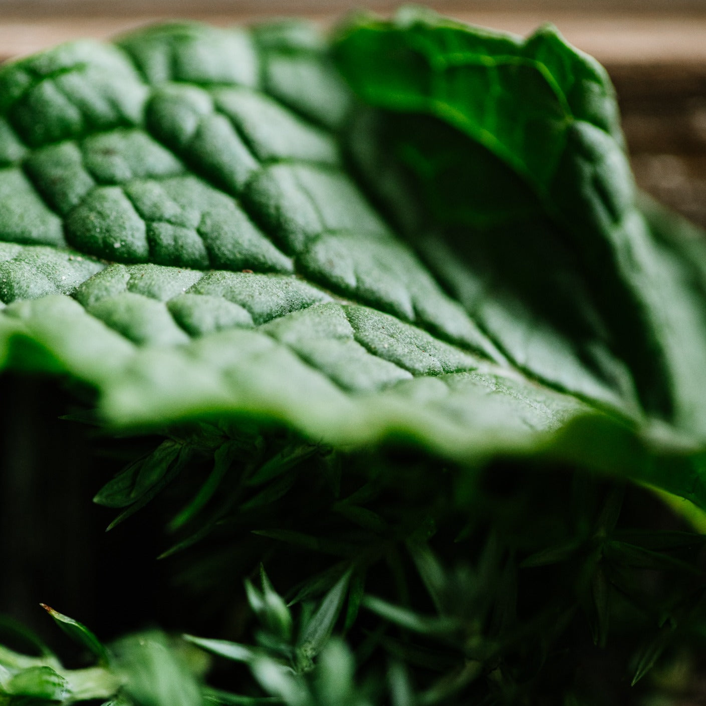 Easyfastshop product image