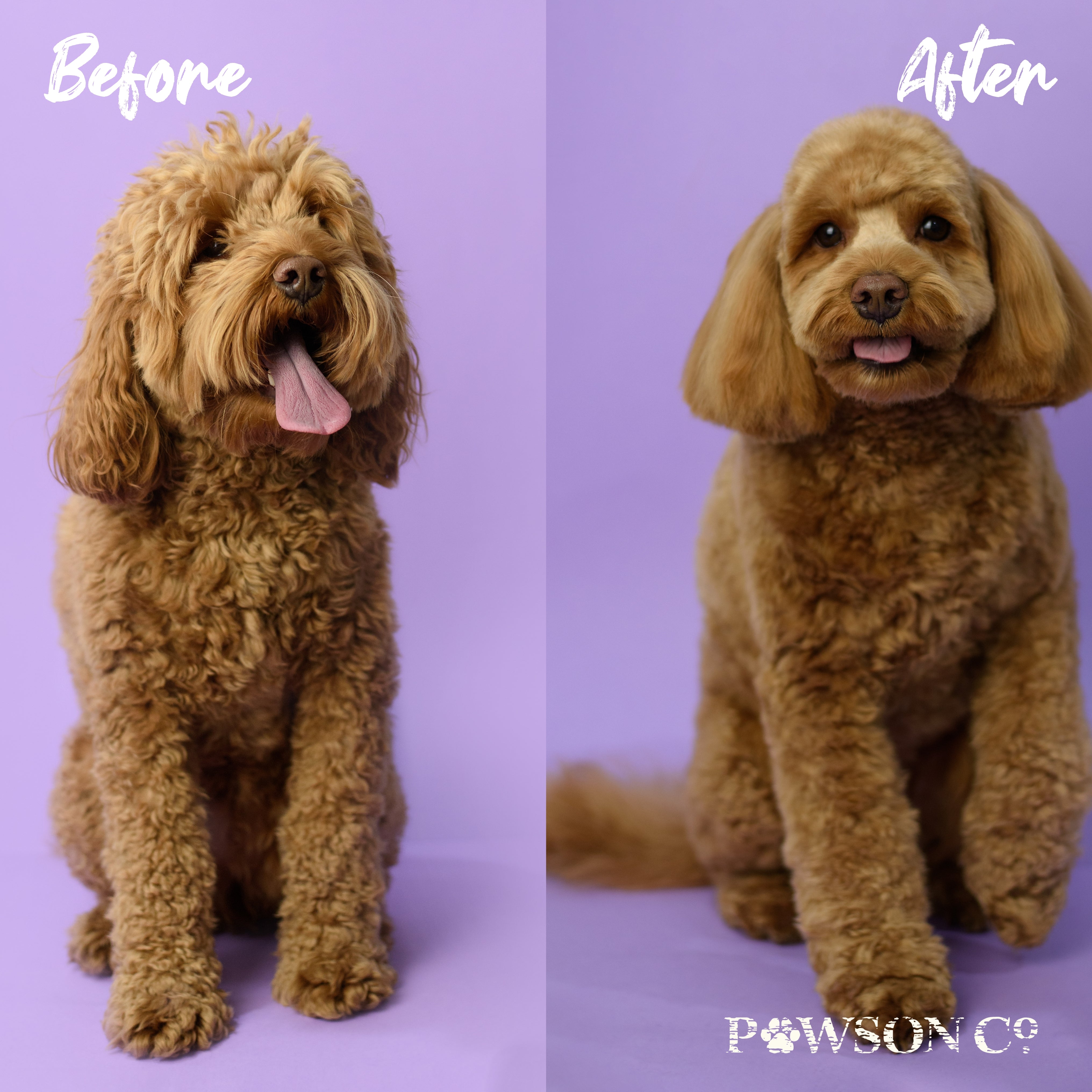 Pet Shampoo Bar | Cherry Blossom™