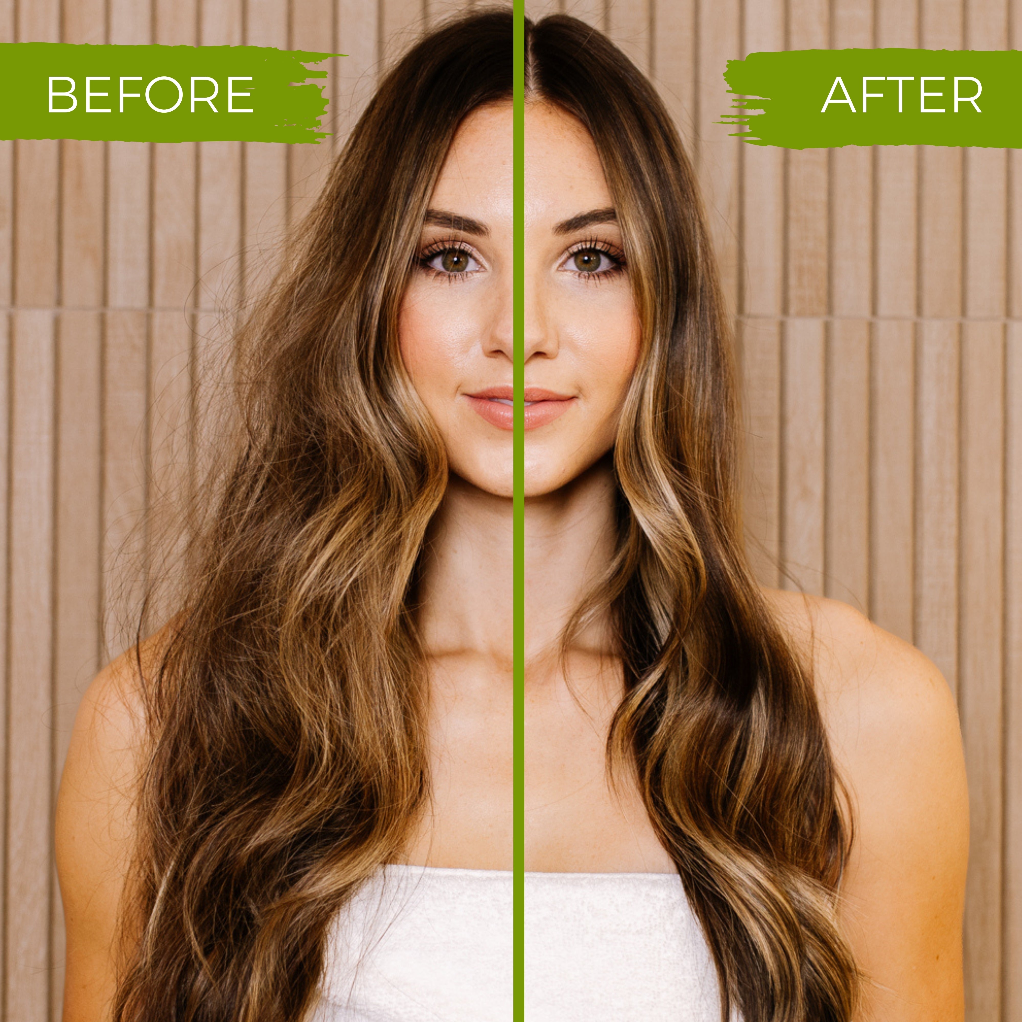 The Discovery Bundle