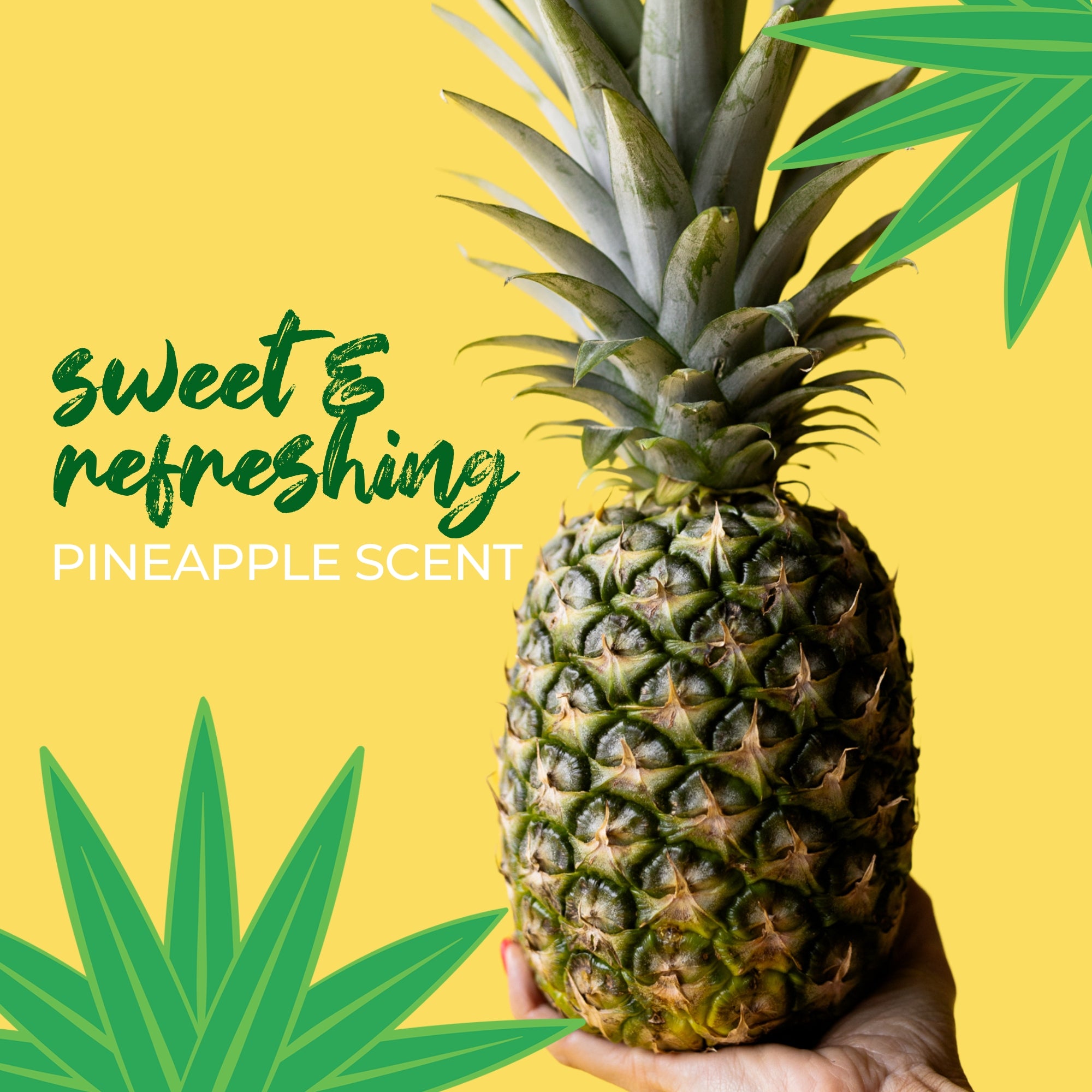 Sugar Scrub Bar | Pineapple