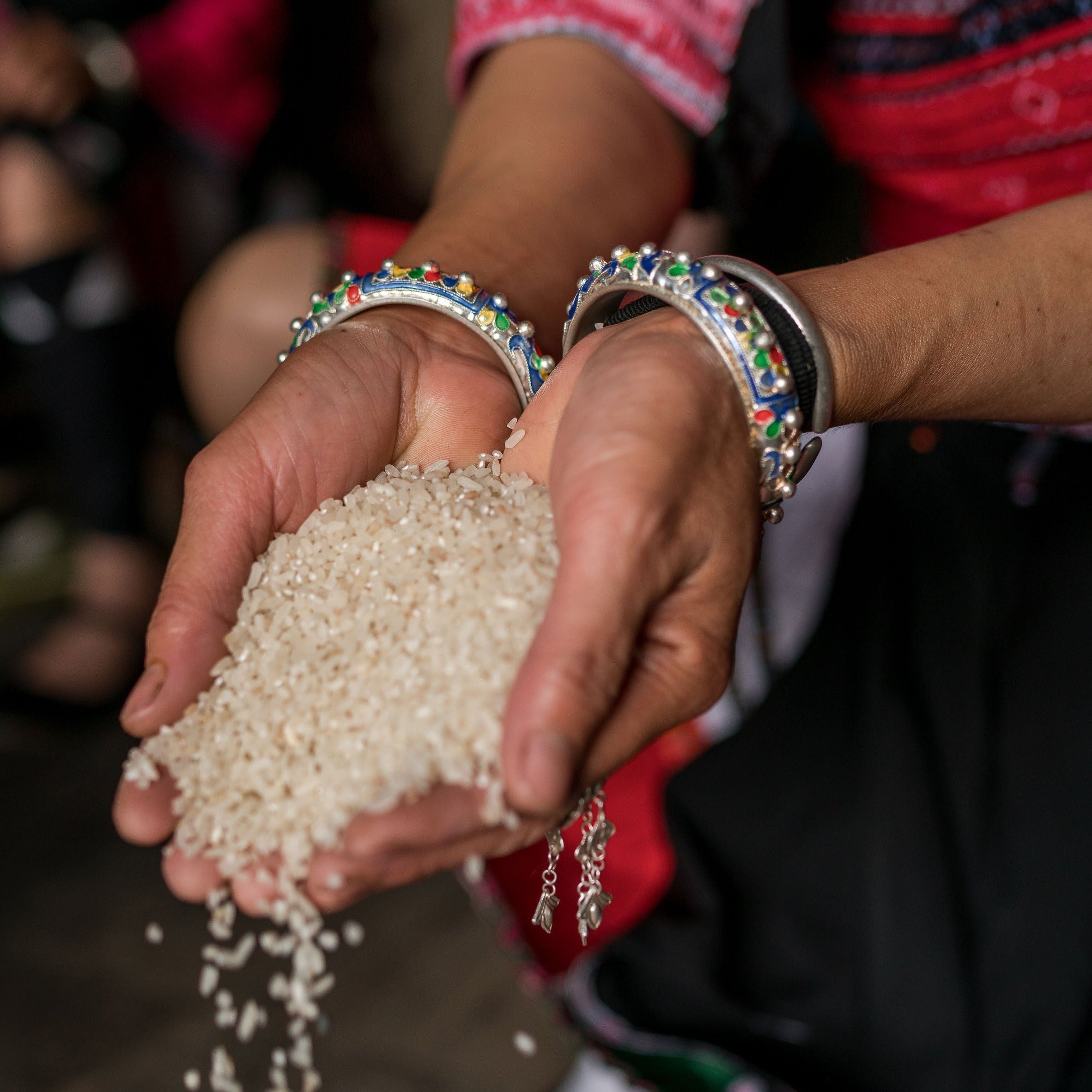 Hidden Waterfall™ Body Wash Bar for Extra Moisturizing | Sweet-Musk Scent