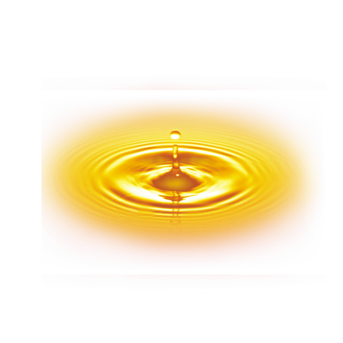 LIMITED Gua Sha | Stainless Steel image