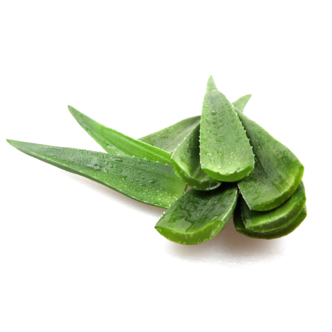 LIMITED Gua Sha | Stainless Steel image