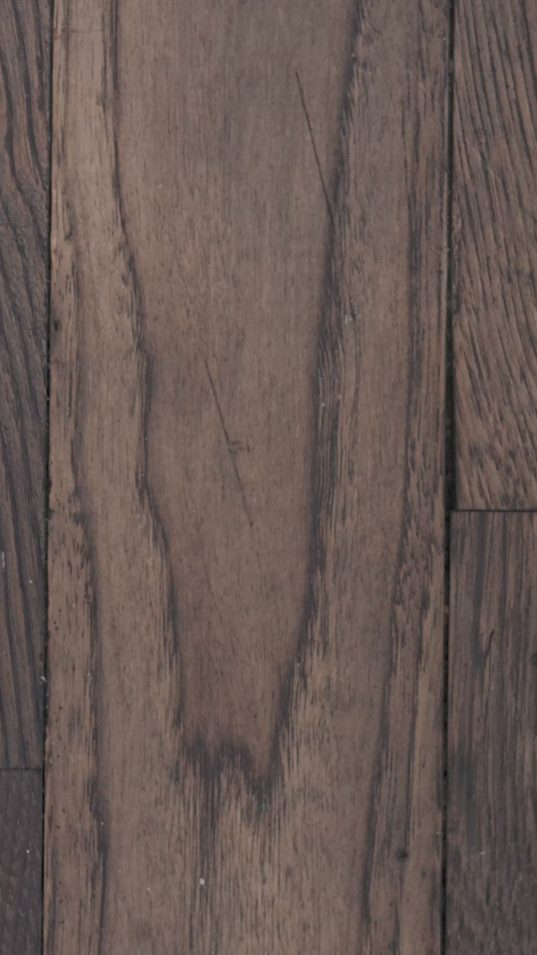 LIMITED Travel Case | Plant Pulp image