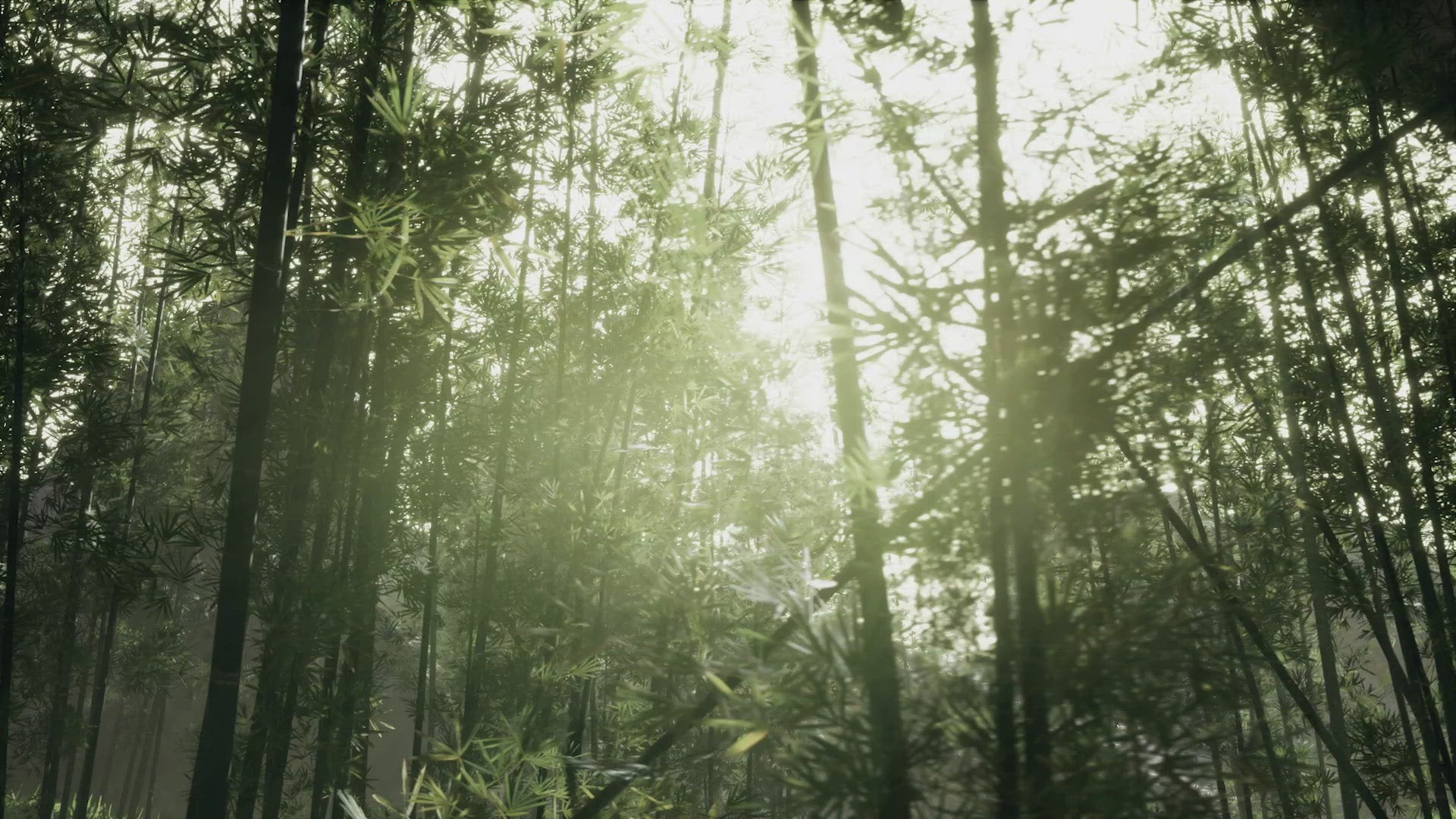 Bamboo Comb | Natural, Sustainable, and Gentle image