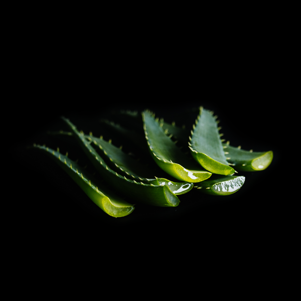 Serenity™ Body Wash Bar with Hydrating Aloe Vera | Sweet-Aloe Scent